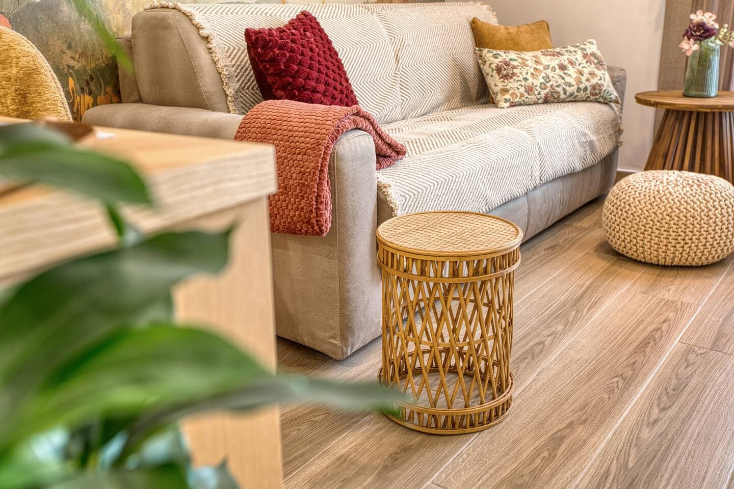 Opuntia Humifusa - Bajtra 3 - Luxury Apartments
